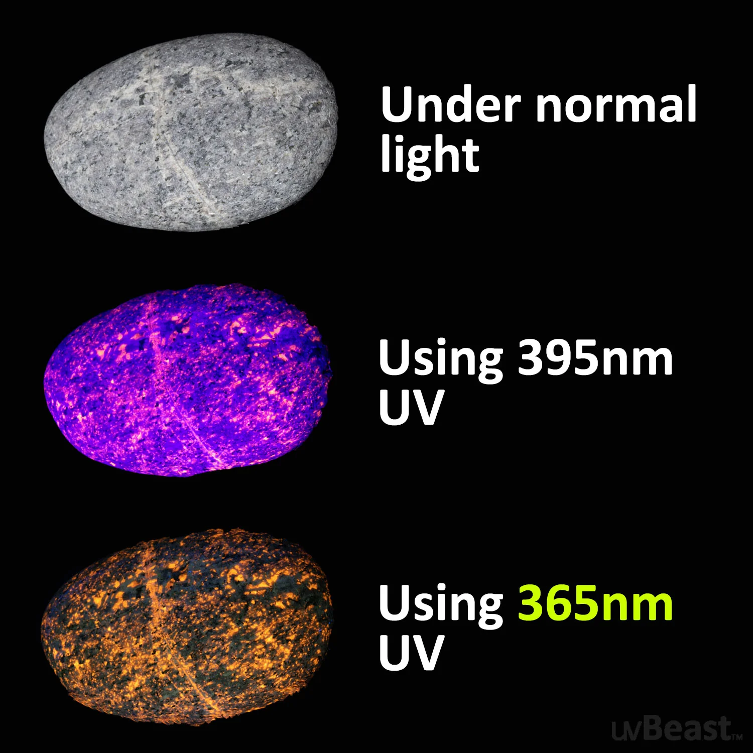 uvBeast Black Light UV Flashlight V3 365nm – FILTERED Ultraviolet - HIGH POWER and LONG RANGE Professional Grade 365nm Beam - Image 4