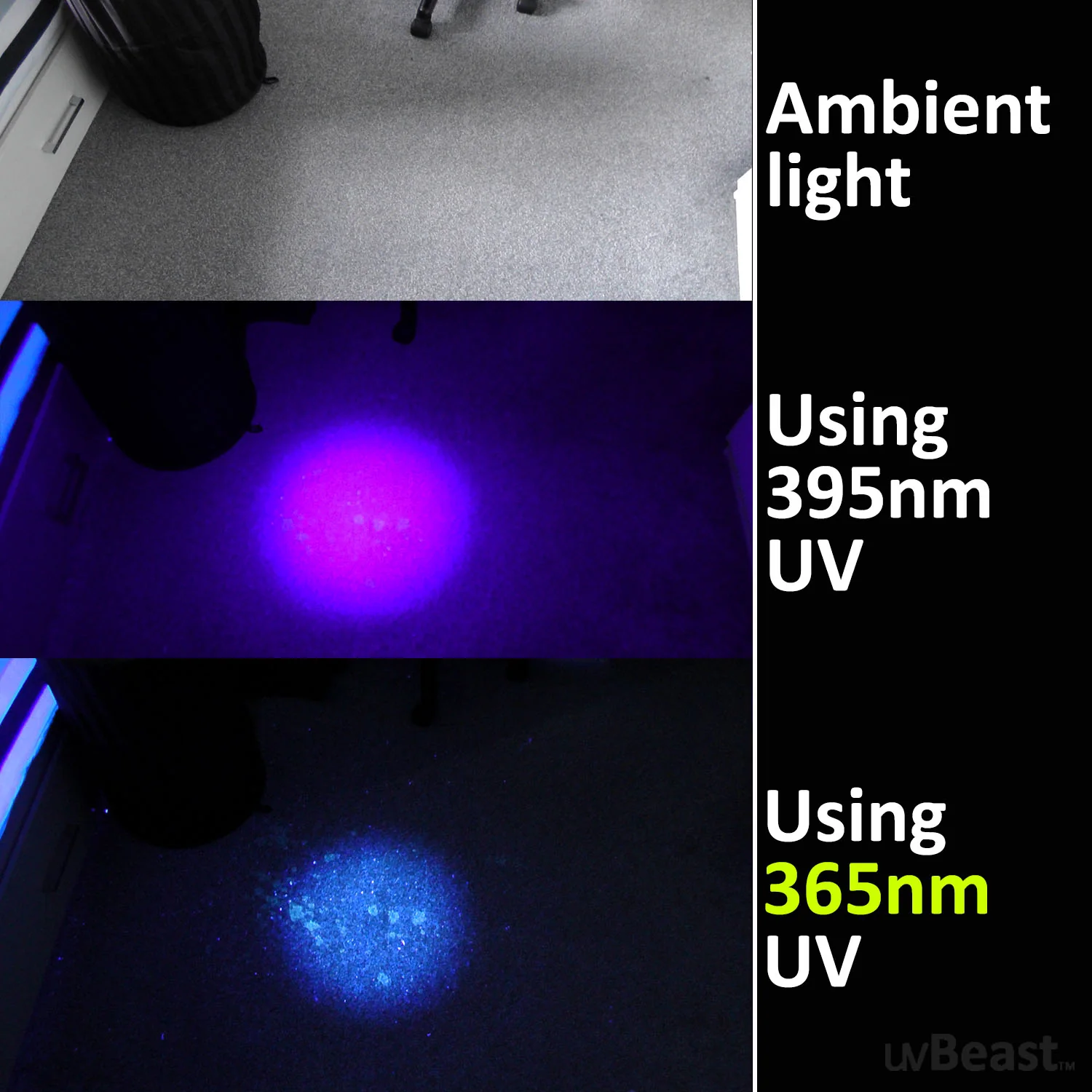 uvBeast Black Light UV Flashlight V3 365nm – FILTERED Ultraviolet - HIGH POWER and LONG RANGE Professional Grade 365nm Beam - Image 5